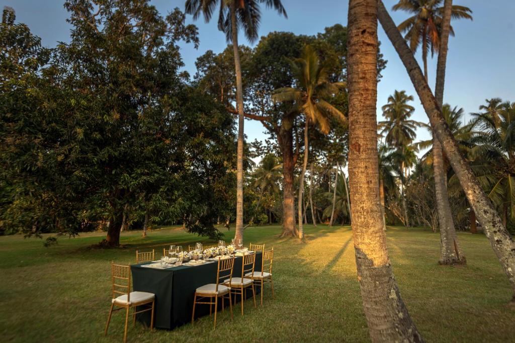 Uga Riva - Negombo
