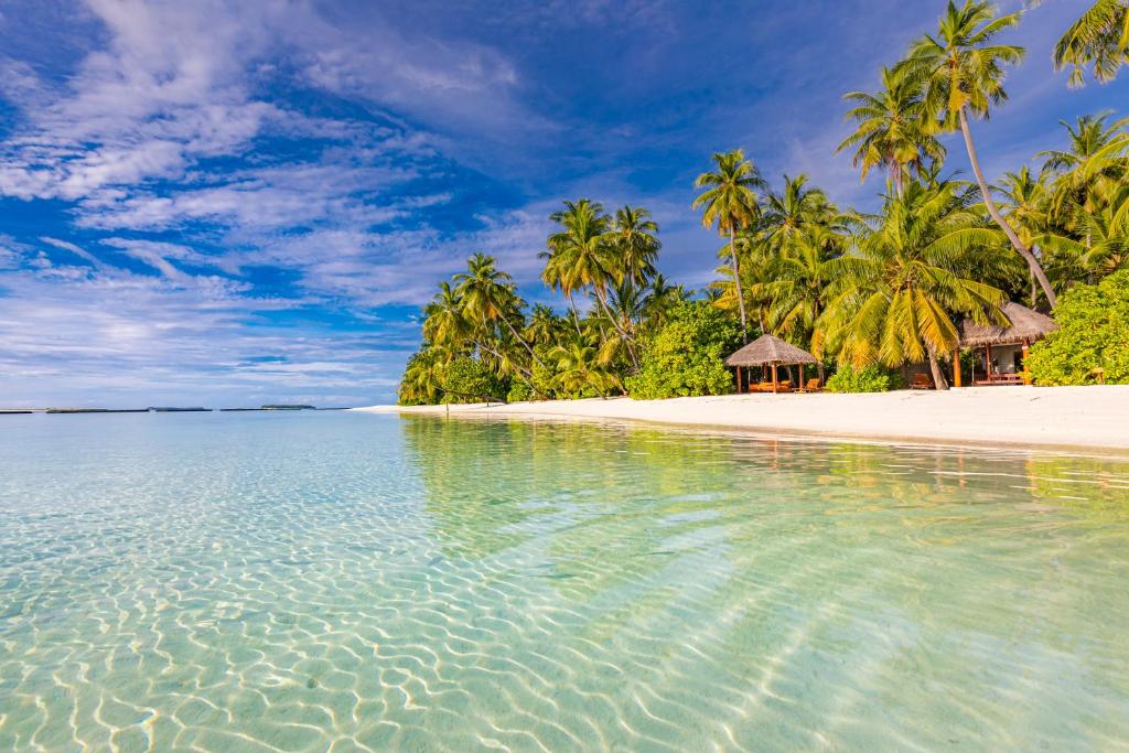 SUN SIYAM VILU REEF-All Inclusive