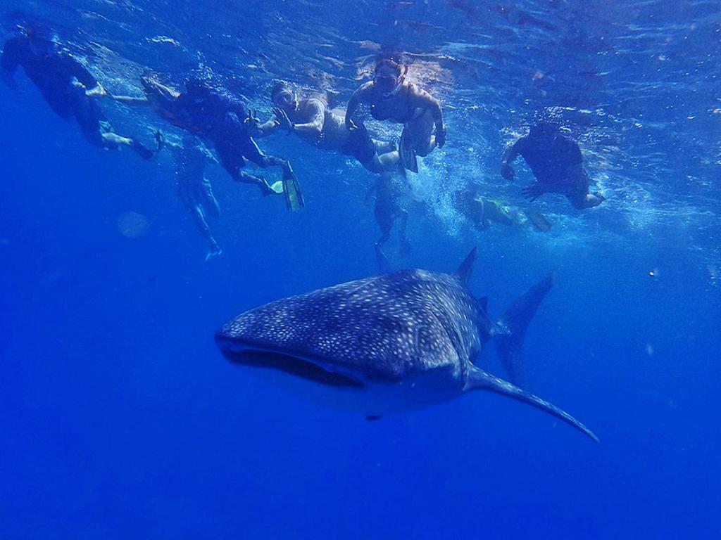 SUN SIYAM VILU REEF-All Inclusive